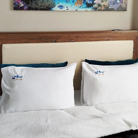 Comfy Center Apartament *
